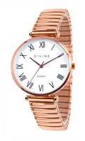 DW1115-3E