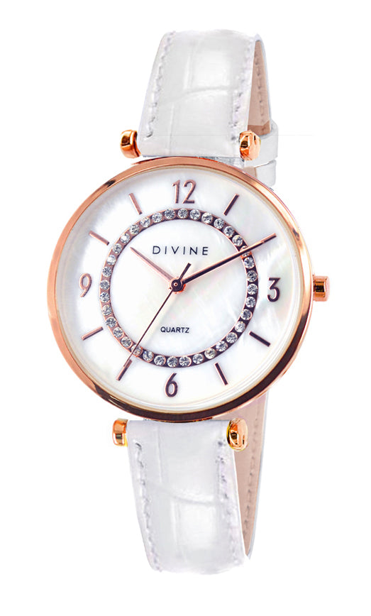DW1123-3W